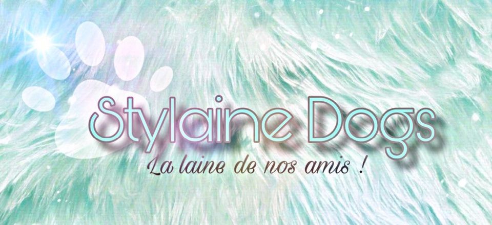 Stylaine Dogs - Tissage et transformation de poils d'animaux de compagnie